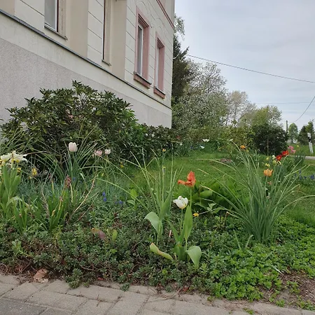 Honighof Vierk